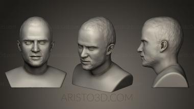 Busts and bas-reliefs of famous people (BUSTC_0282) 3D model for CNC machine